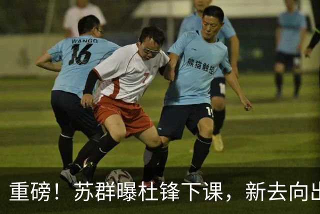 重磅！苏群曝杜锋下课，新去向出炉，球迷喊话杨鸣接手，能行吗？
